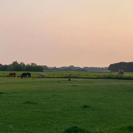 Pipowagen Madelief Uniek Natuurbad Met Exclusief Voor Onze Gasten